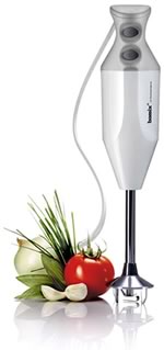 Bamix immersion blender 