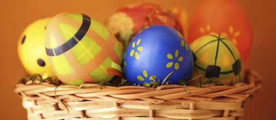 All about eggs