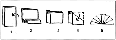 Fan Napkin Fold
