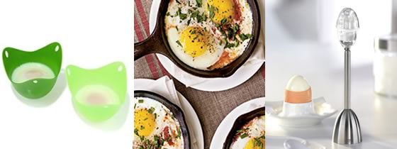 All about eggs