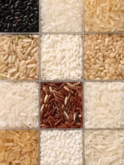 Varieties of Rice